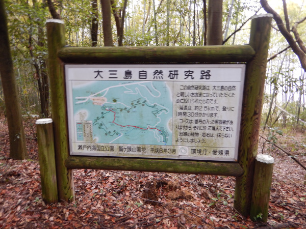 鷲ケ頭山～安神山へ_b0366871_11553840.jpg