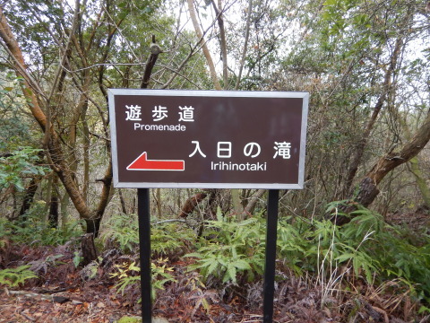 鷲ケ頭山～安神山へ_b0366871_11560965.jpg