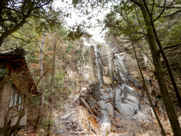 鷲ケ頭山～安神山へ_b0366871_11565421.jpg