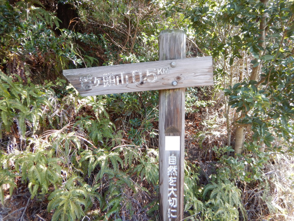 鷲ケ頭山～安神山へ_b0366871_11574371.jpg