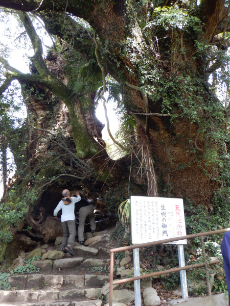 鷲ケ頭山～安神山へ_b0366871_14254416.jpg