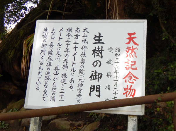 鷲ケ頭山～安神山へ_b0366871_14264664.jpg
