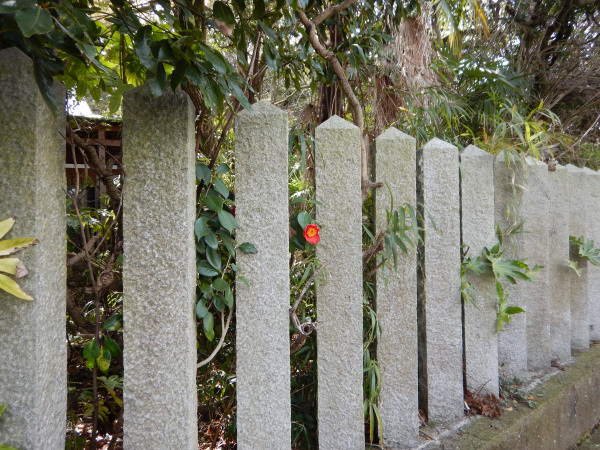 鷲ケ頭山～安神山へ_b0366871_14272984.jpg