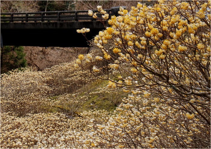 f0181173_21215373.jpg