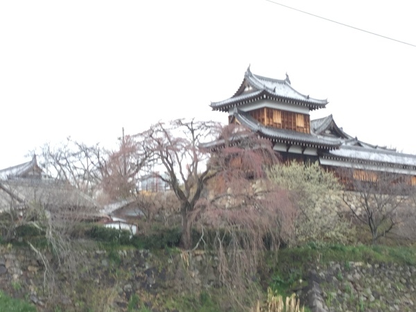 d0356076_16432190.jpeg