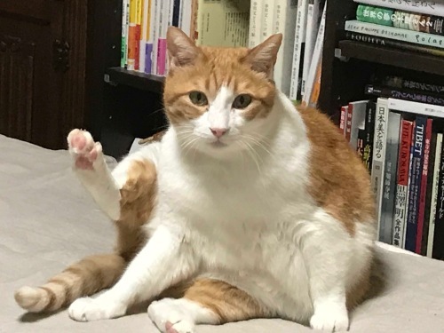 f0054677_07343048.jpeg
