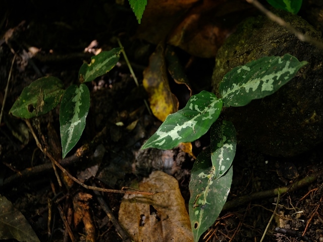 a0067578_11012452.jpg