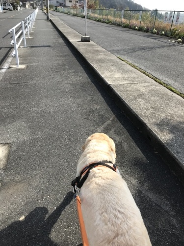 f0315081_16415842.jpeg