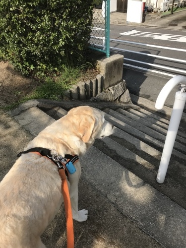 f0315081_16425731.jpeg