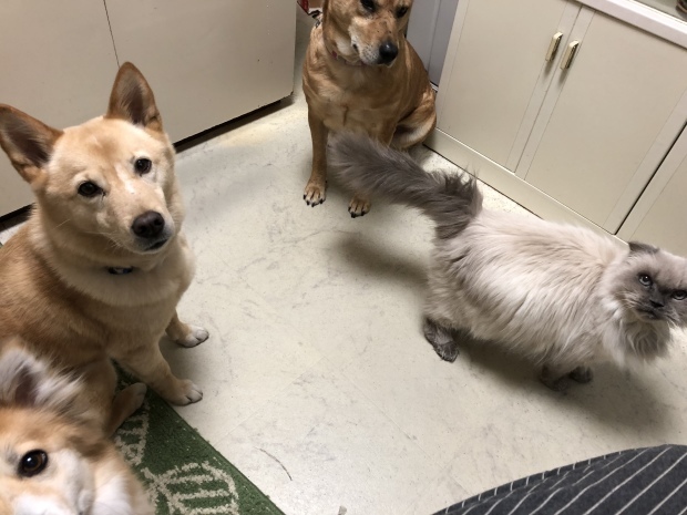 b0377882_00094082.jpeg