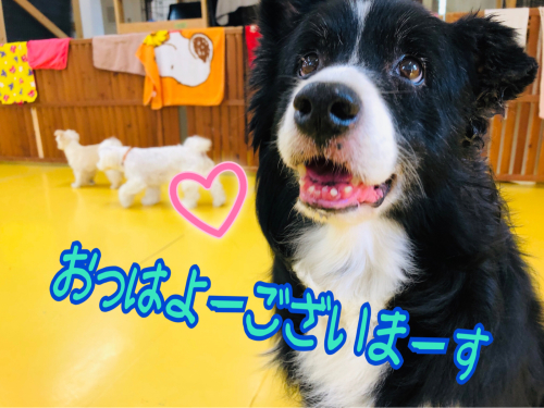 春分の日(✿︎´ ꒳ ` )_f0357682_11384764.jpg