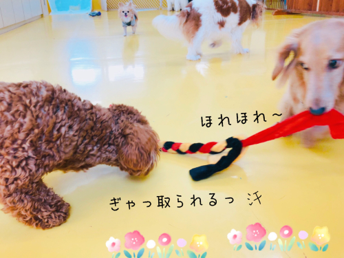 春分の日(✿︎´ ꒳ ` )_f0357682_11391747.jpg