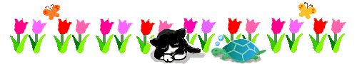b0364186_22103310.gif