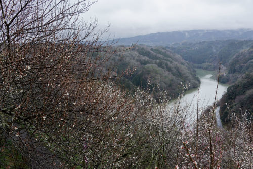 e0366896_09133234.jpg