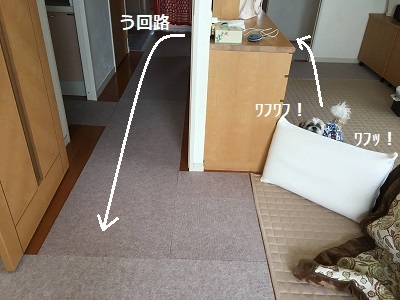 f0372998_20545289.jpg