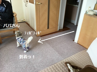 f0372998_20550174.jpg