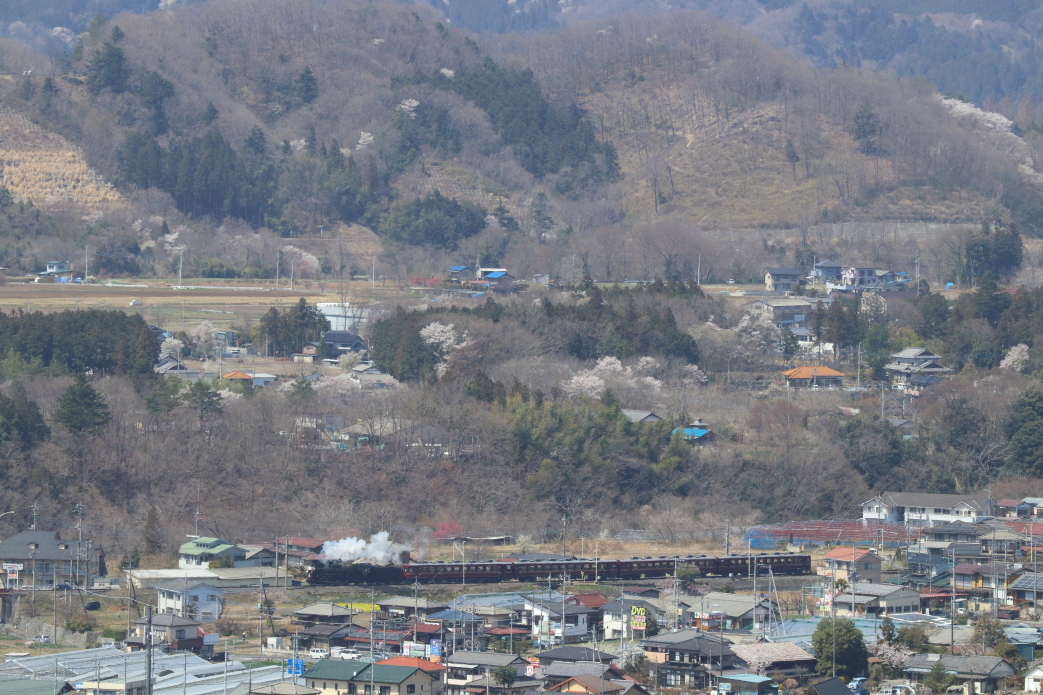 山桜があちこちに咲いていた - 2018年桜・秩父 -_b0190710_21593442.jpg