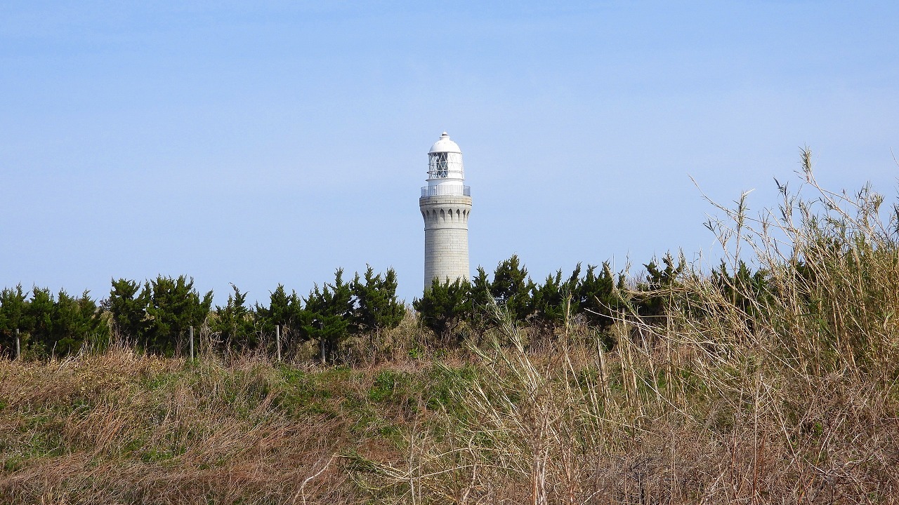 プチ遠征～山口県下関市角島 Ⅷ　ホオジロハクセキレイ_d0360910_18465349.jpg