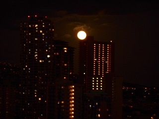 a0242019_04425588.jpg
