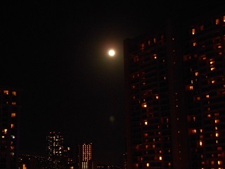 a0242019_04430696.jpg