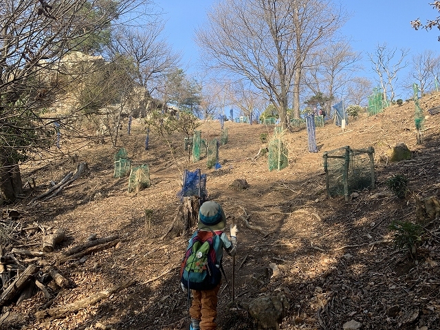 2019年 臼杵市大岩の山桜_d0177220_14533169.jpg