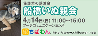 4/9引き出し編・レポート紹介犬　全　５０頭_f0078320_03040981.jpg