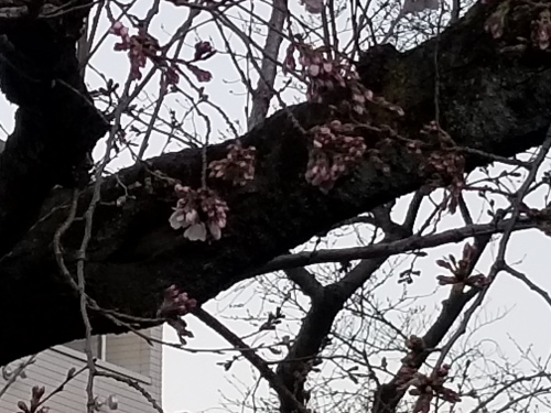 e0016828_10174100.jpg