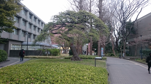 上野公園にある奏楽堂。_a0214329_14335411.jpg