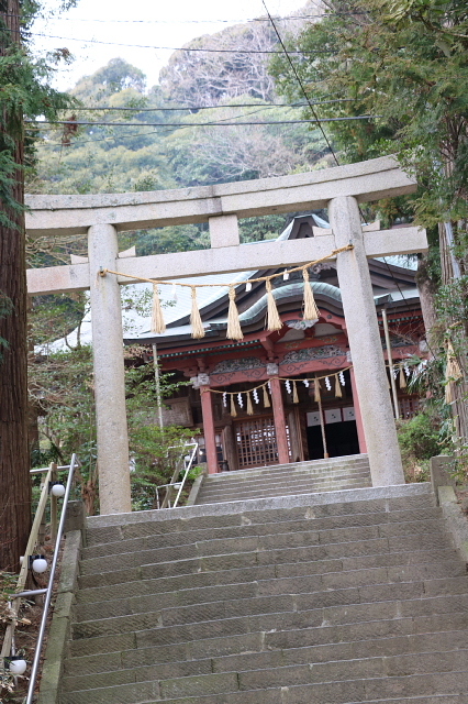 a0222229_05382923.jpg