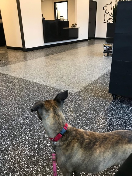 d0269832_08372246.jpeg