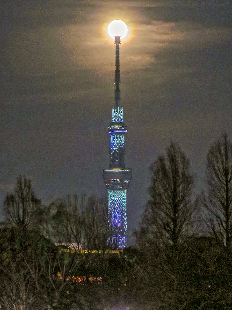 e0321032_17243666.jpg