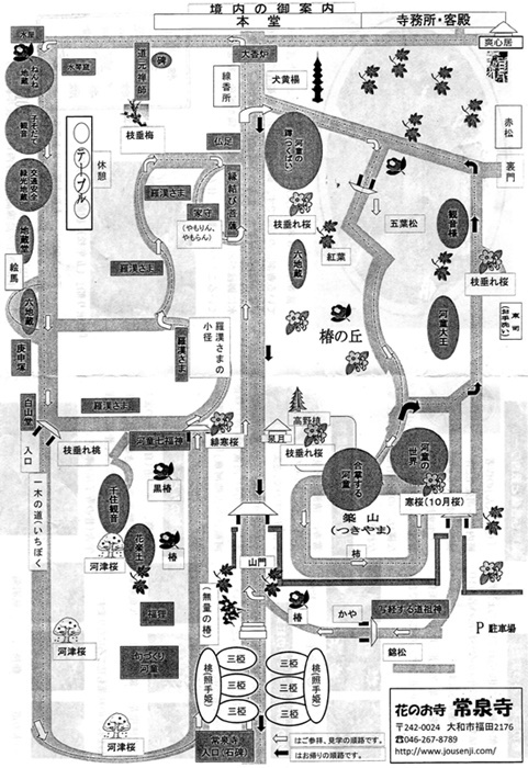 今週火曜日、大和の常泉寺を訪れる_d0037233_13272427.jpg