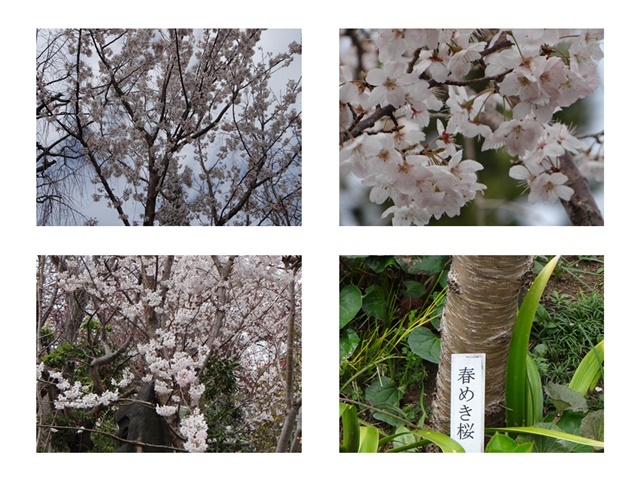 今週火曜日、大和の常泉寺を訪れる_d0037233_13365560.jpg