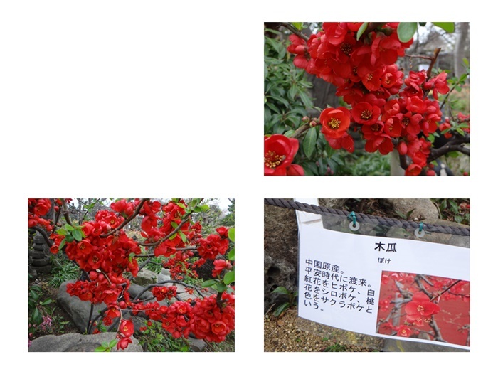 今週火曜日、大和の常泉寺を訪れる_d0037233_13400346.jpg