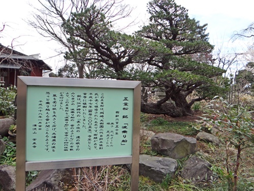 今週火曜日、大和の常泉寺を訪れる_d0037233_13401009.jpg