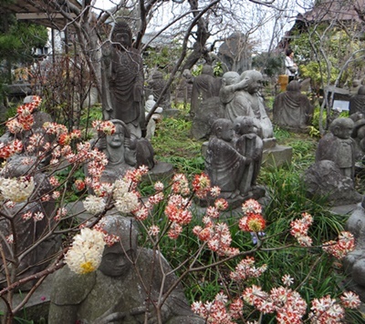 今週火曜日、大和の常泉寺を訪れる_d0037233_13470832.jpg