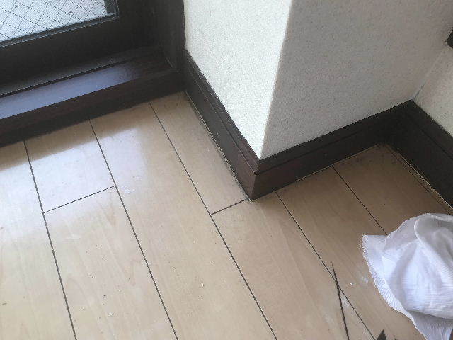 19日目 総員出動_f0031037_20152850.jpg