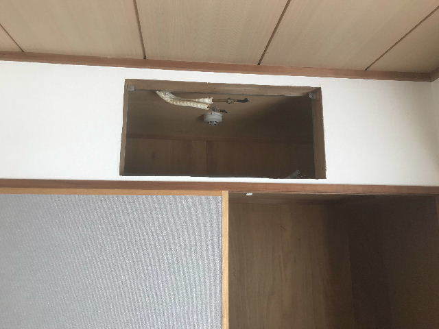 19日目 総員出動_f0031037_20285541.jpg