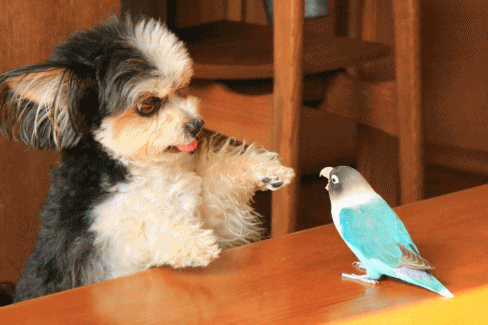 c0145250_10253320.gif