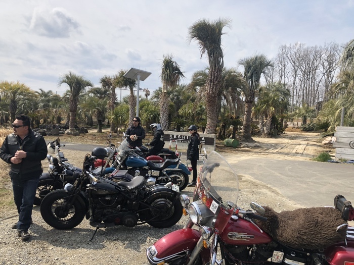 Palm trees&Temple_d0193053_10011070.jpeg