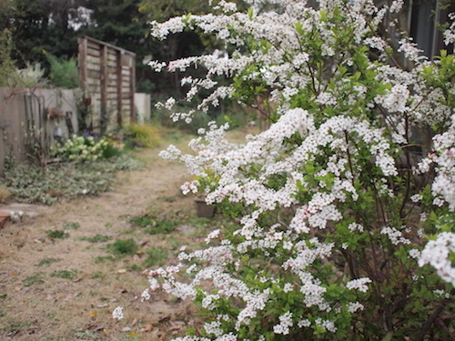 ゆるっと春。_a0335560_19292789.jpg