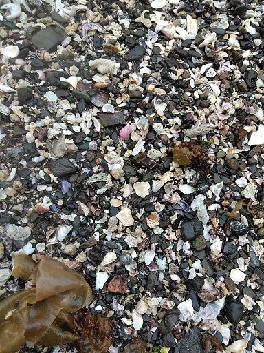c0172261_10375170.jpg
