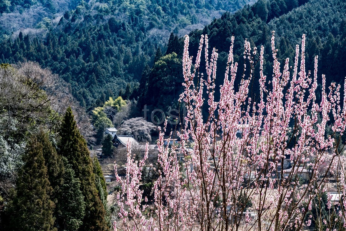 下市から西吉野偵察_c0350572_13175697.jpg