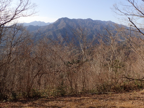 神奈川のギフチョウ（2019）_f0348480_17054110.jpg