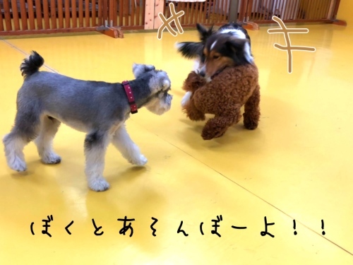 トレーニングブログ_f0357682_21251909.jpeg