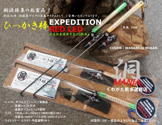 カブトムシ・クワガタムシが採れるとこはどこ？まさか冬にクワガタ採集に成功！？Japan\'s Record Stag beetle Hunter_f0183484_10183151.jpg