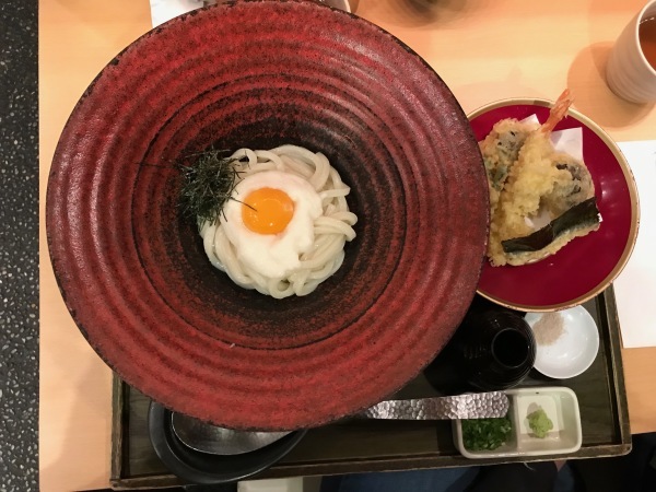 つるとんたんでランチして土筆摘みに_e0397389_16101436.jpeg