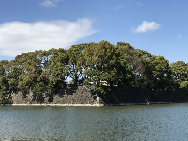つるとんたんでランチして土筆摘みに_e0397389_16105644.jpeg