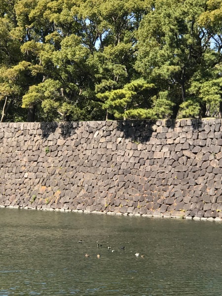 つるとんたんでランチして土筆摘みに_e0397389_16112969.jpeg