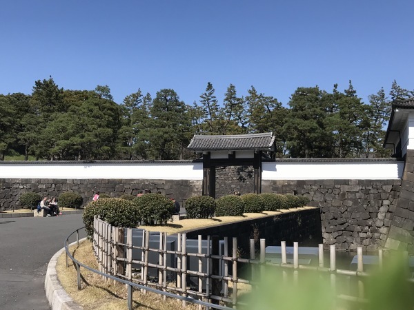 つるとんたんでランチして土筆摘みに_e0397389_16334793.jpeg